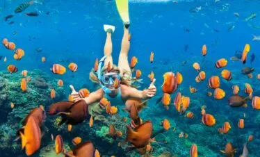SNORKELING TRIP NUSA PENIDA